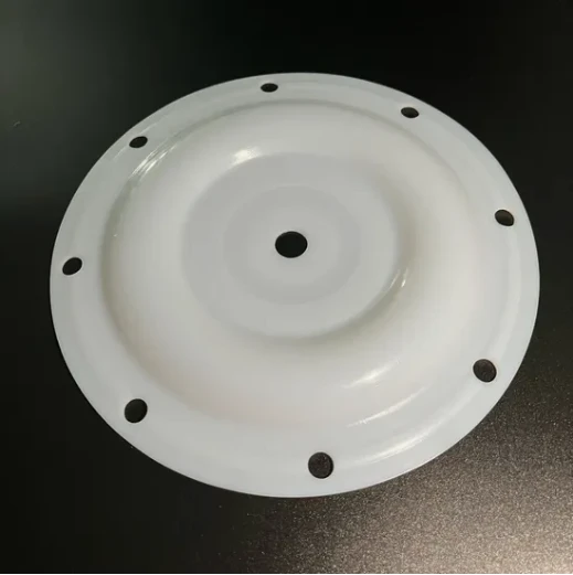 Aro Pnömatik Diyafram Pompasında Kullanılan Aro PTFE Diyaframının Değiştirilmesi